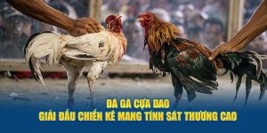 đá gà cựa dao j88