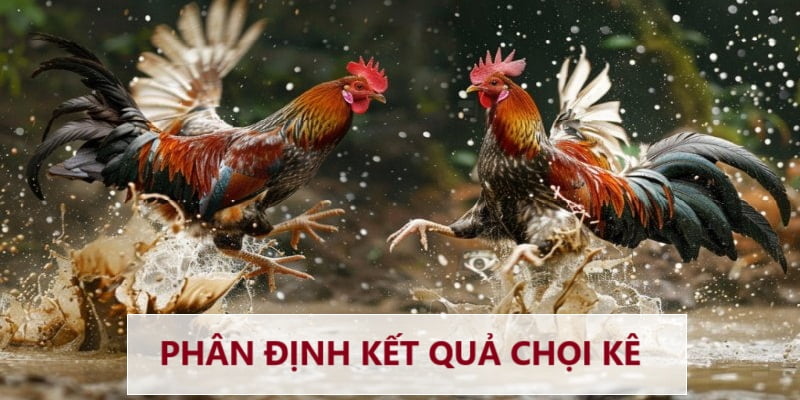 Phân định kết quả thắng bại 