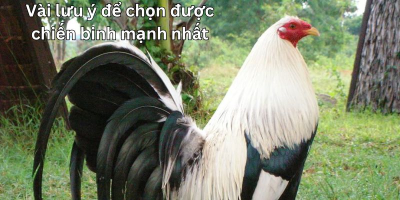 Nắm chắc các điểm cần lưu ý để cuộc vui trọn vẹn hơn